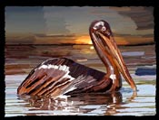 oil desaster